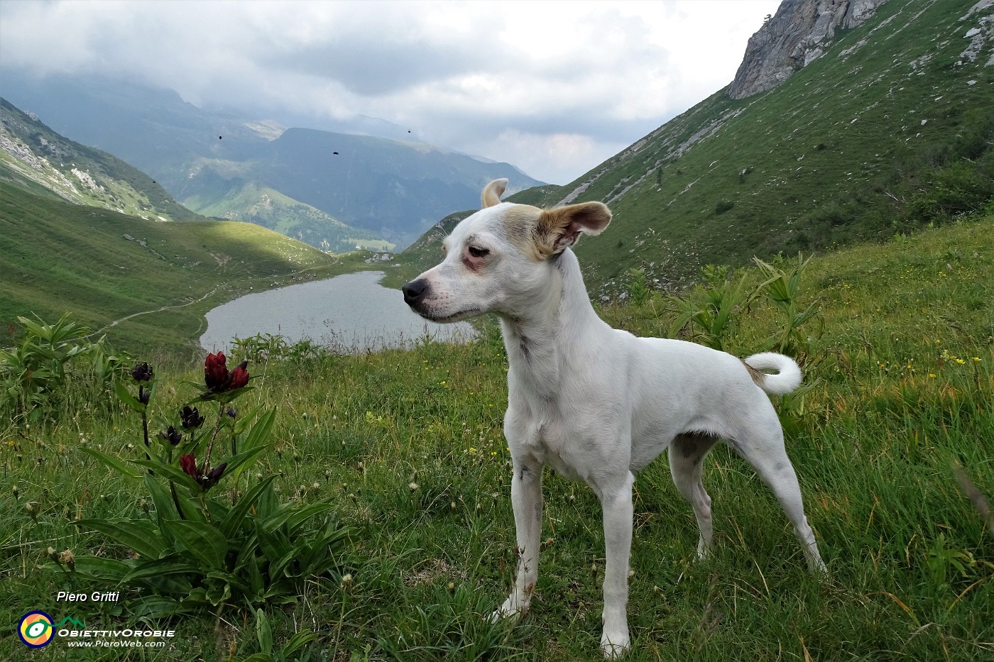 82 Al Passo Branchino con vista sul lago.JPG